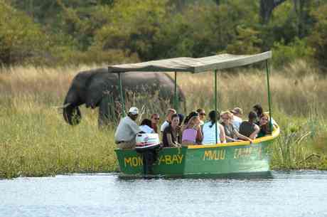 Superior Malawi Safari